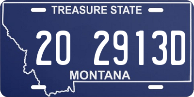MT license plate 202913D