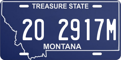 MT license plate 202917M