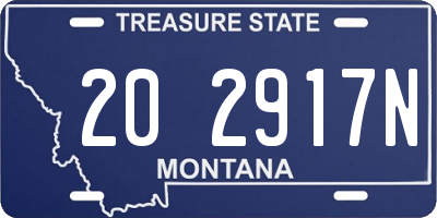 MT license plate 202917N