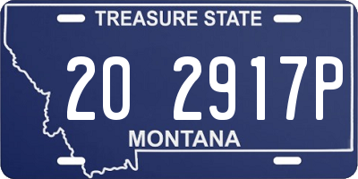 MT license plate 202917P
