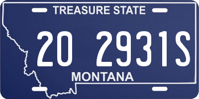 MT license plate 202931S