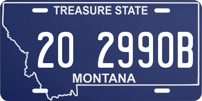 MT license plate 202990B