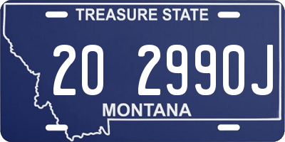 MT license plate 202990J