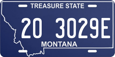 MT license plate 203029E