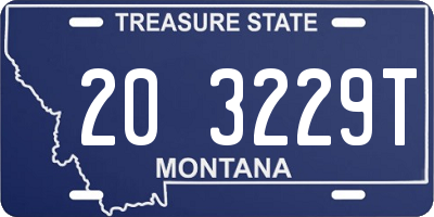 MT license plate 203229T