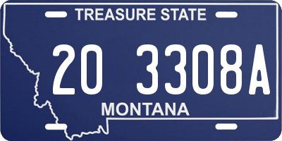 MT license plate 203308A
