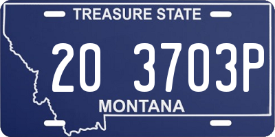 MT license plate 203703P