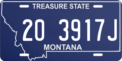 MT license plate 203917J