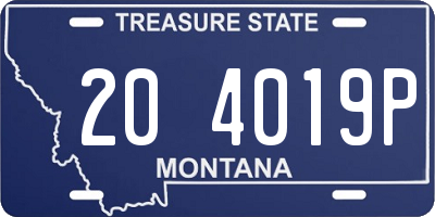 MT license plate 204019P