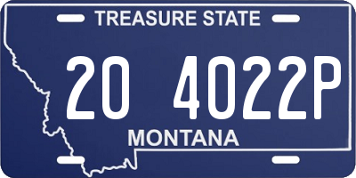 MT license plate 204022P