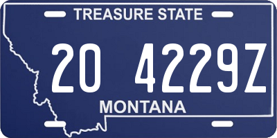 MT license plate 204229Z