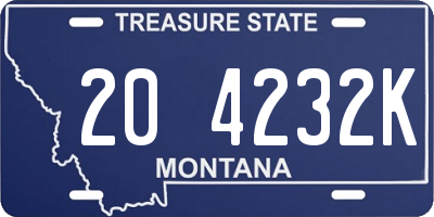 MT license plate 204232K