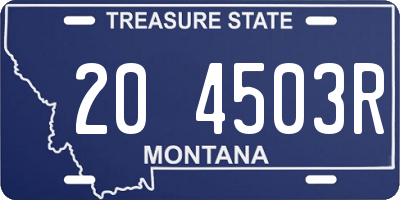 MT license plate 204503R