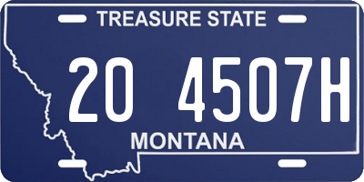 MT license plate 204507H