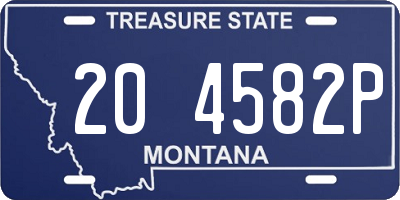 MT license plate 204582P