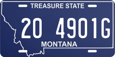 MT license plate 204901G