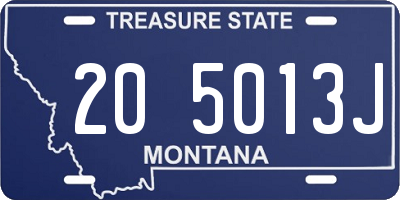 MT license plate 205013J