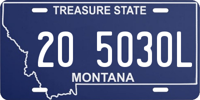 MT license plate 205030L