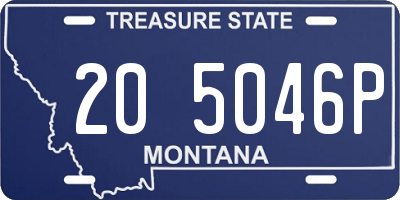 MT license plate 205046P