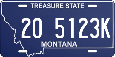 MT license plate 205123K