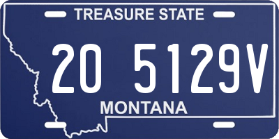 MT license plate 205129V
