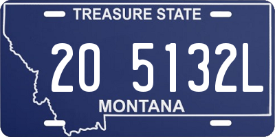 MT license plate 205132L