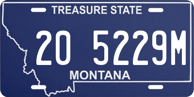 MT license plate 205229M