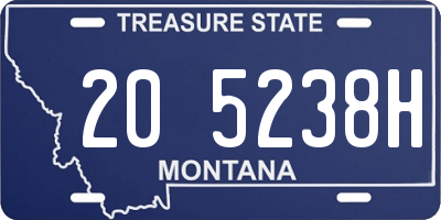 MT license plate 205238H
