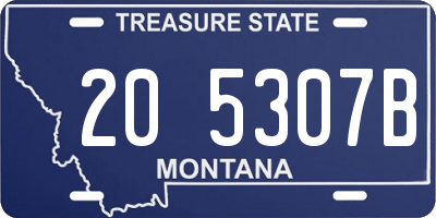 MT license plate 205307B