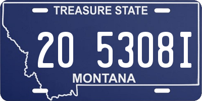 MT license plate 205308I