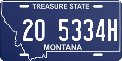 MT license plate 205334H