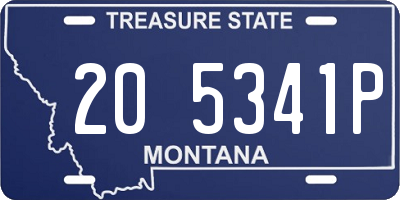 MT license plate 205341P
