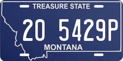MT license plate 205429P