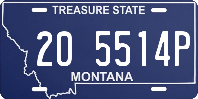 MT license plate 205514P