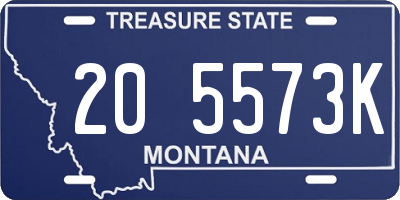 MT license plate 205573K