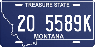 MT license plate 205589K