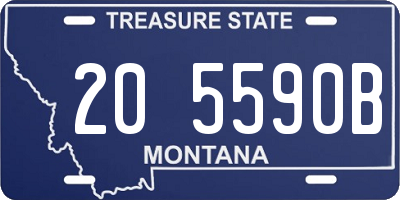 MT license plate 205590B