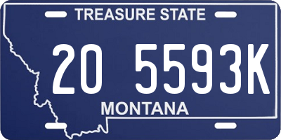 MT license plate 205593K