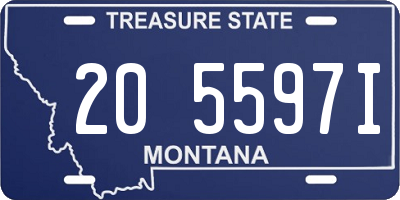 MT license plate 205597I