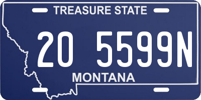MT license plate 205599N
