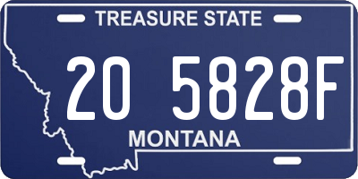 MT license plate 205828F