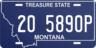 MT license plate 205890P