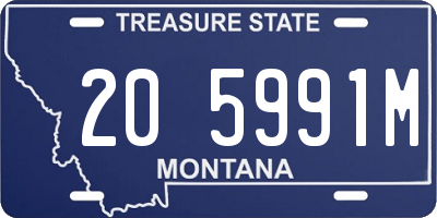 MT license plate 205991M