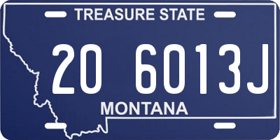 MT license plate 206013J