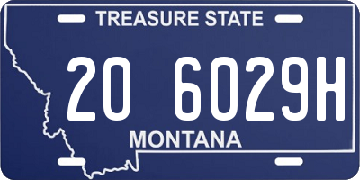 MT license plate 206029H