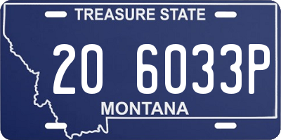 MT license plate 206033P
