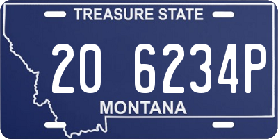 MT license plate 206234P