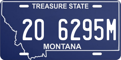 MT license plate 206295M
