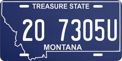 MT license plate 207305U