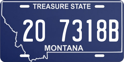 MT license plate 207318B